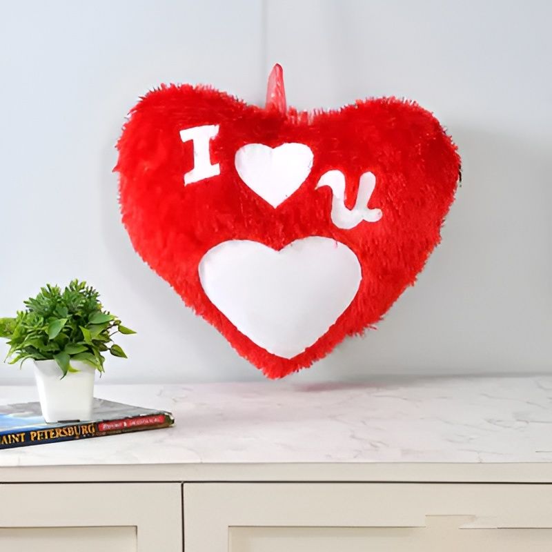 SMR Kart Big Heart Cushion (20×20 INCH)